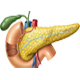 pancreatic