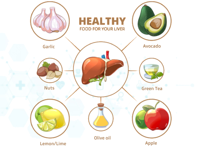 Healthy_Liver